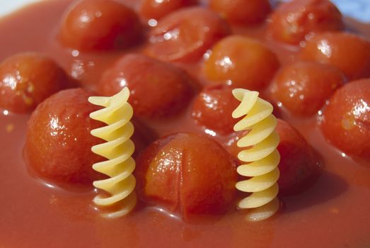 Pasta and tomato. Typical italian dish