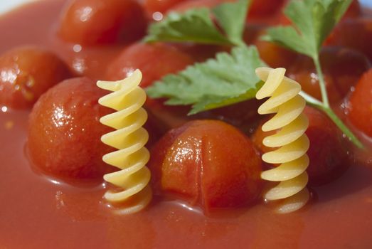 Pasta and tomato, typical italian food