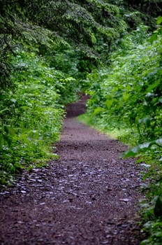 Woodsy Trail