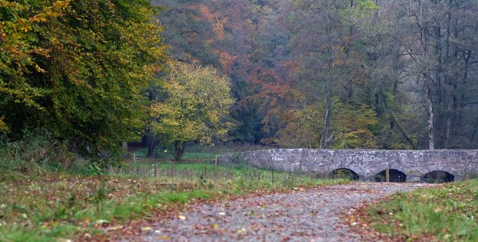 A bridge surrounded by a forrest in all colors