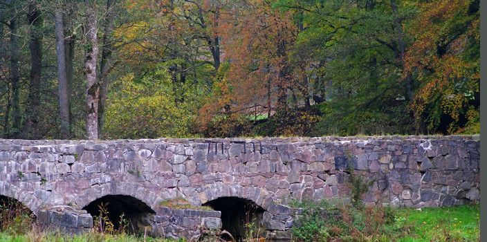 A bridge surrounded by a forrest in all colors