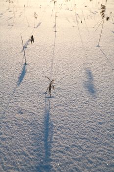 Details of a beautiful snow surface perfect for backgrounds on greeting cards etc.