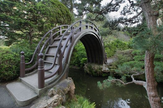 Wooden Bridge at Japanese Garden in San Francisco Golden Gate Park 2