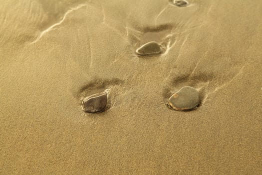 Several pebbles in the wet sand on beach