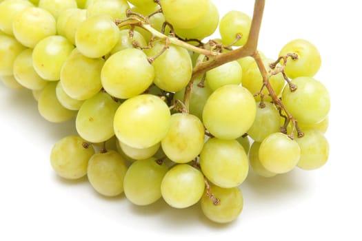 Closeup photo of green grapes over white background
