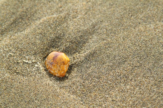 One orange stone in the sand on a beach, shallow depth of field