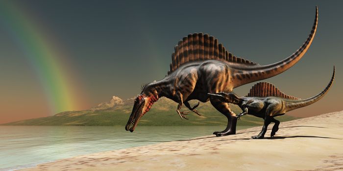 A mother Spinosaurus dinosaur brings her offspring to a lake for a drink of water.