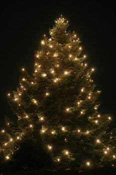 xmastree at night with snow and electric candles, very shallow DOF!............