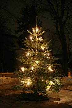 xmastree at night with snow and electric candles, very shallow DOF!............