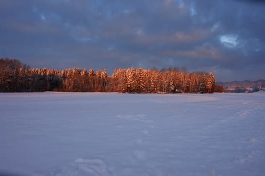 beautiful winter landscape at sunrise in wintertime