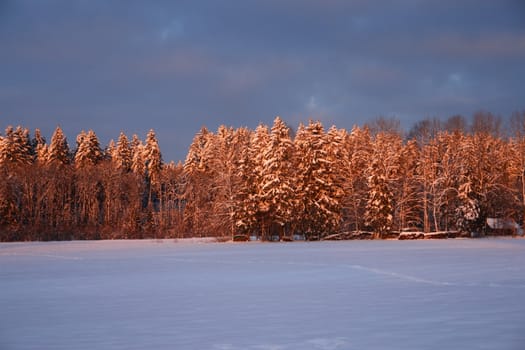 beautiful winter landscape at sunrise in wintertime