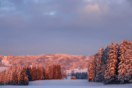 beautiful winter landscape at sunrise in wintertime