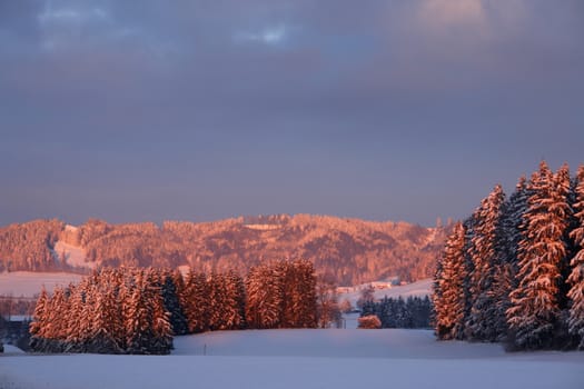 beautiful winter landscape at sunrise in wintertime