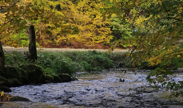 A steam surrounded with trees in autumn colors