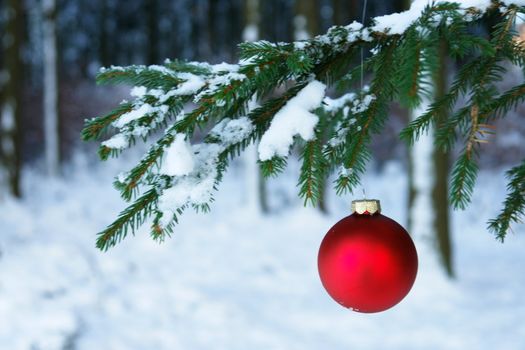 a red bauble in snowy winter landscape