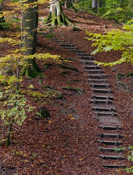 Stairways in a Swedish forest in October time