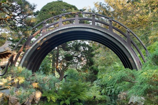 Curved Wooden Bridge at Japanese Garden in San Francisco