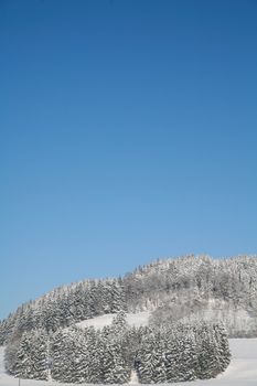 beautiful winter landscape at winter time out