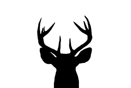 A Silhouette of a Male White Tail Deer head