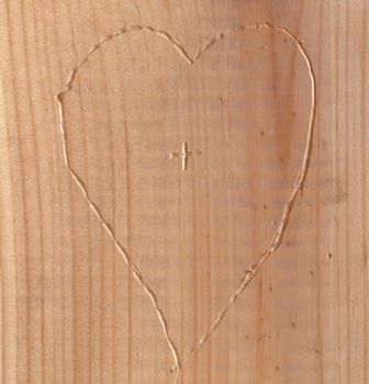 Heart carved into wood.  Add you own names or initials outside of the Plus Sign.