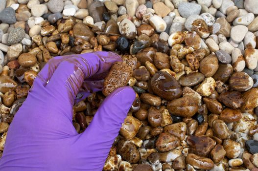 An oil cleanup worker holds contaminated rocks