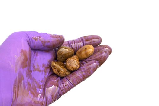 An oil cleanup worker holds contaminated rocks isolated on white