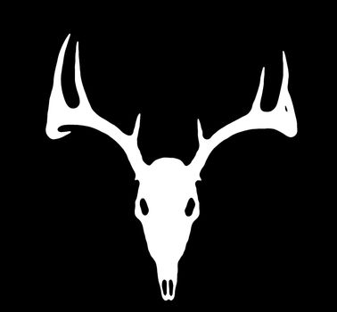 A European Deer Silhouette White on Black