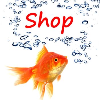 shopping or shop concept with word and goldfish