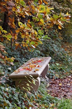 bench in the autumn, nostalgia and loneliness
