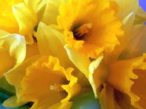 Soft yellow daffodils basking in the sun.