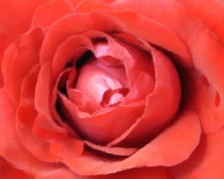 a close up of a beautiful red rose.