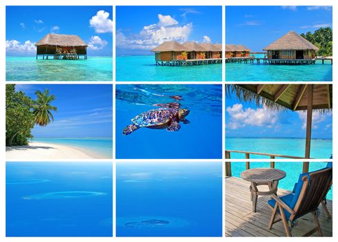 Collection of pictures from Meeru island, Maldives
