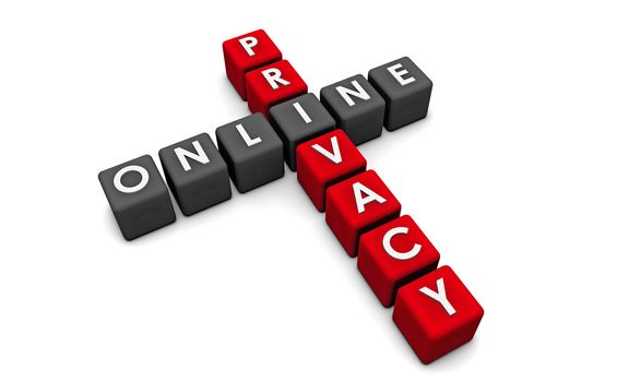 Online Privacy of your Data on the Web