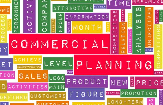 Commercial Planning in a Business Company Concept