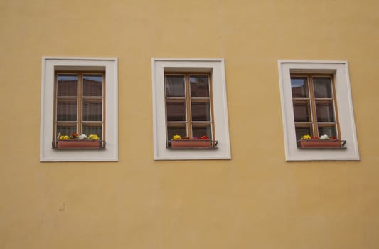 view of the windows and doors, historic buildings, gates.