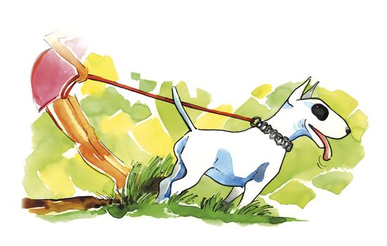 illustration of woman and bull terrier dog on walk