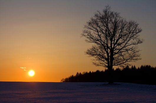 sunset over the field in winter