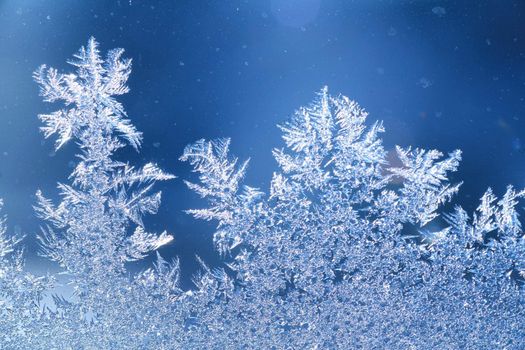 The patterns made by the frost on the window (hoarfrost background)