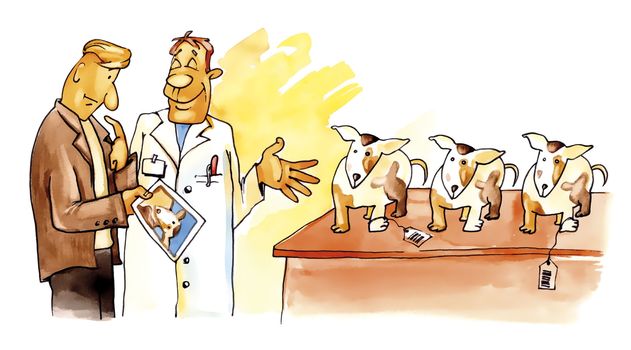 humorous illustration of clones of the favorite dog