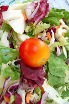 Fresh mixed salad detail. Raw food background.