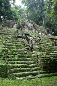 Green antique mayan stair in tropical forest