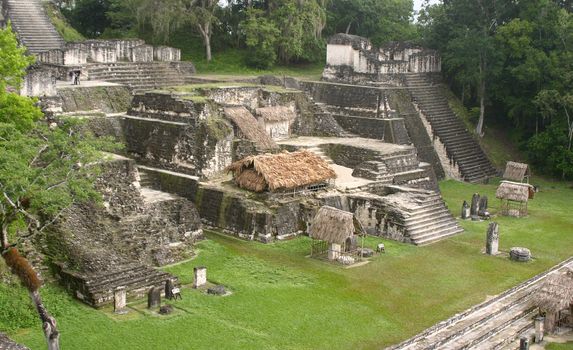 Tical maya site over green grass and tropical jungle