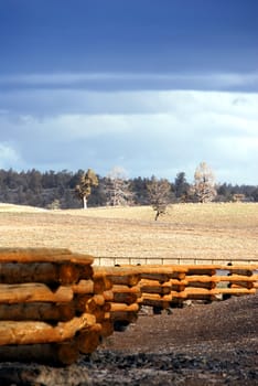 Vertical image of ranch fencing surrounding a winter-yellowed field with green juniper trees against a blue cloudy sky.
