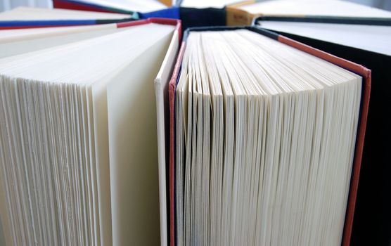 Horizontal image of a group of books standing upright with their pages facing outward and their spines forming a circle.