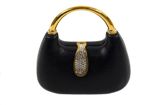 Designer crocodile skin purse with expensive Austrian crystals