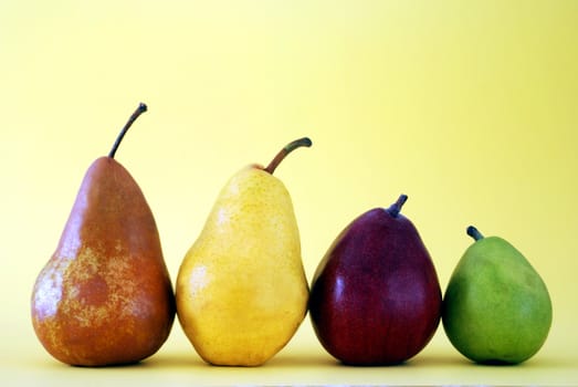Horizontal image with different pears arranged in descending order by size, against a yellow background