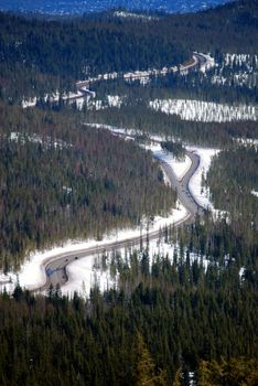 Vertical image of Century Drive in Central Oregon - the Road leading to the ski resort, Mount Bachelor.