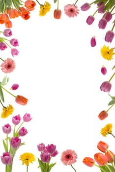 Beautiful flower frame