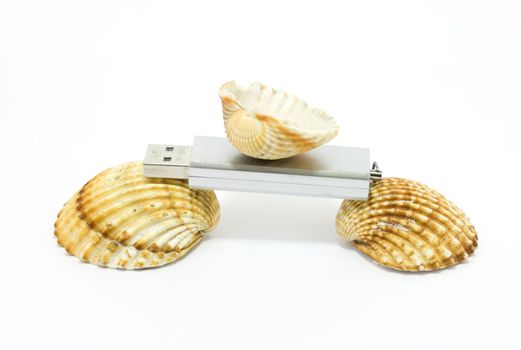 Sea shells and USB flash key isolated on white