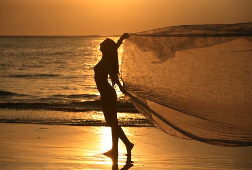 The beautiful woman on a coast on a sunset